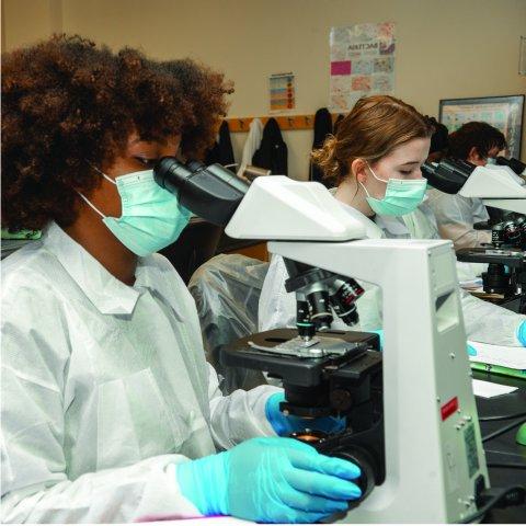 Health Sciences Lab. Students looking through microscopes.